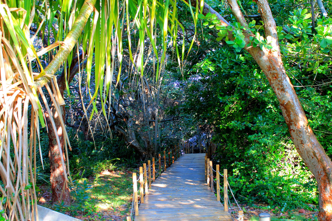 Weg zum Strand Melia Las Antillas - Adults only