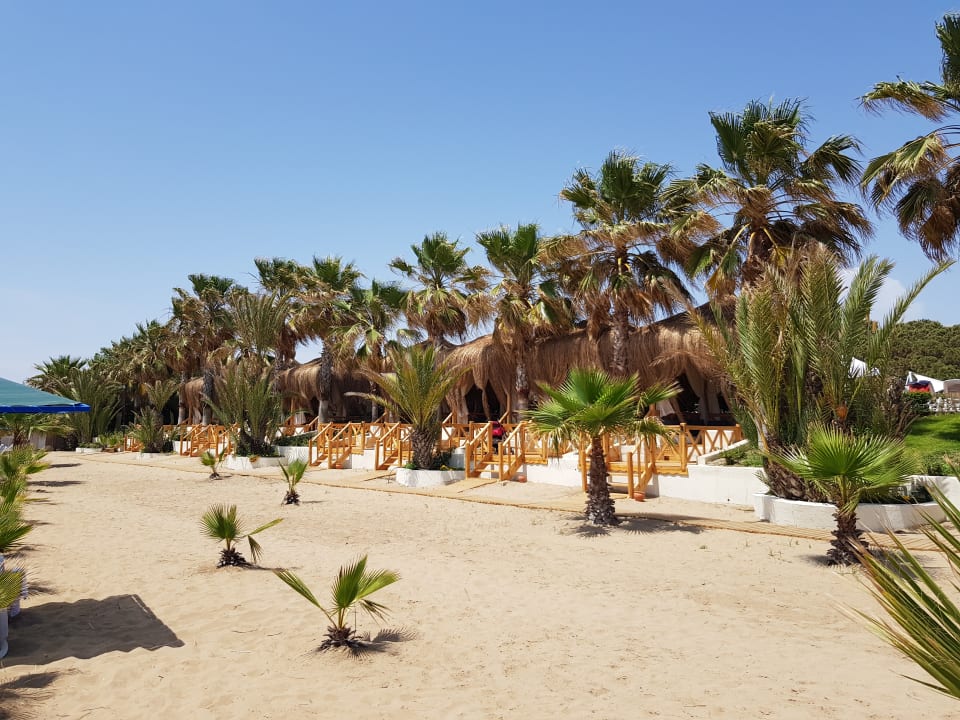 Strand Paloma Oceana