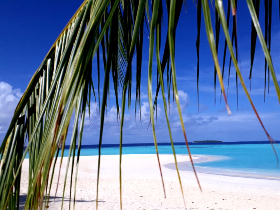 Strand NH Collection Maldives Havodda Resort