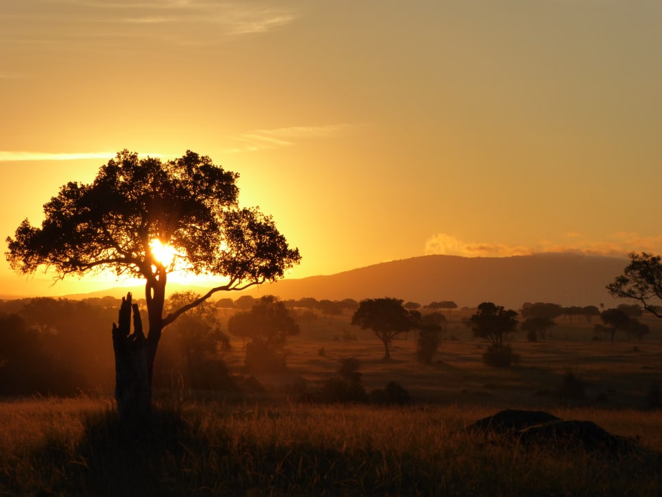 Ausblick Royal Mara Safari Lodge