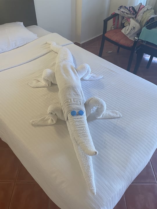 Zimmer Three Corners Sea Beach Resort