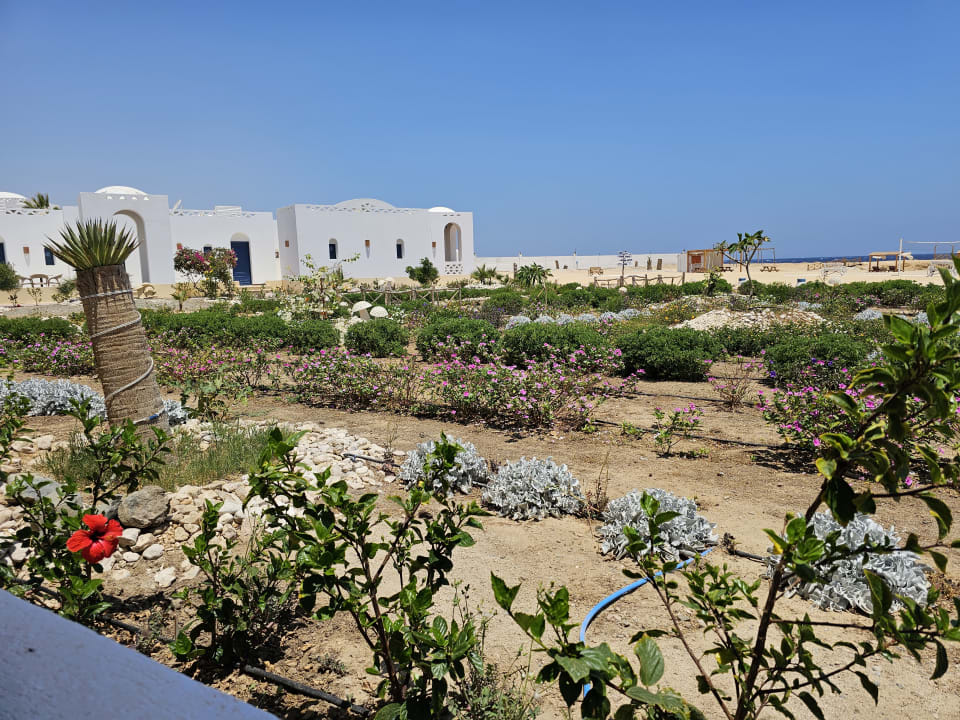 Außenansicht Beach Safari Nubian Resort