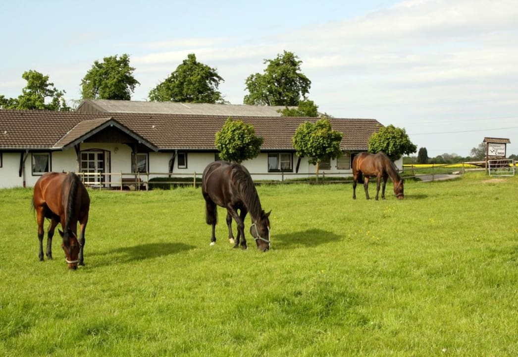 Gästehaus Gästehaus Ermen