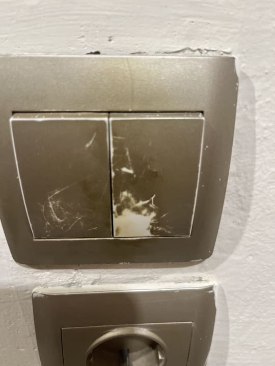 Zimmer Sunshine Rhodes