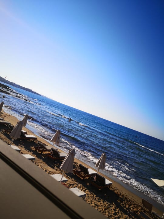 Ausblick Cactus Beach