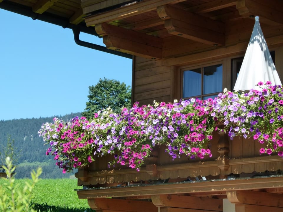 Sonstiges Wohlfühlresort Peternhof