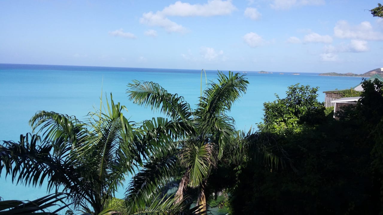 Ausblick vom Oceanview-Bungalow Cocos Hotel Antigua - Adults Only