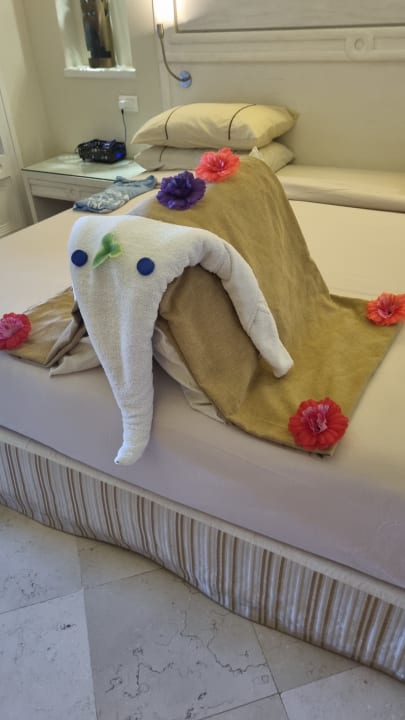 Zimmer Makadi Spa - Adults only