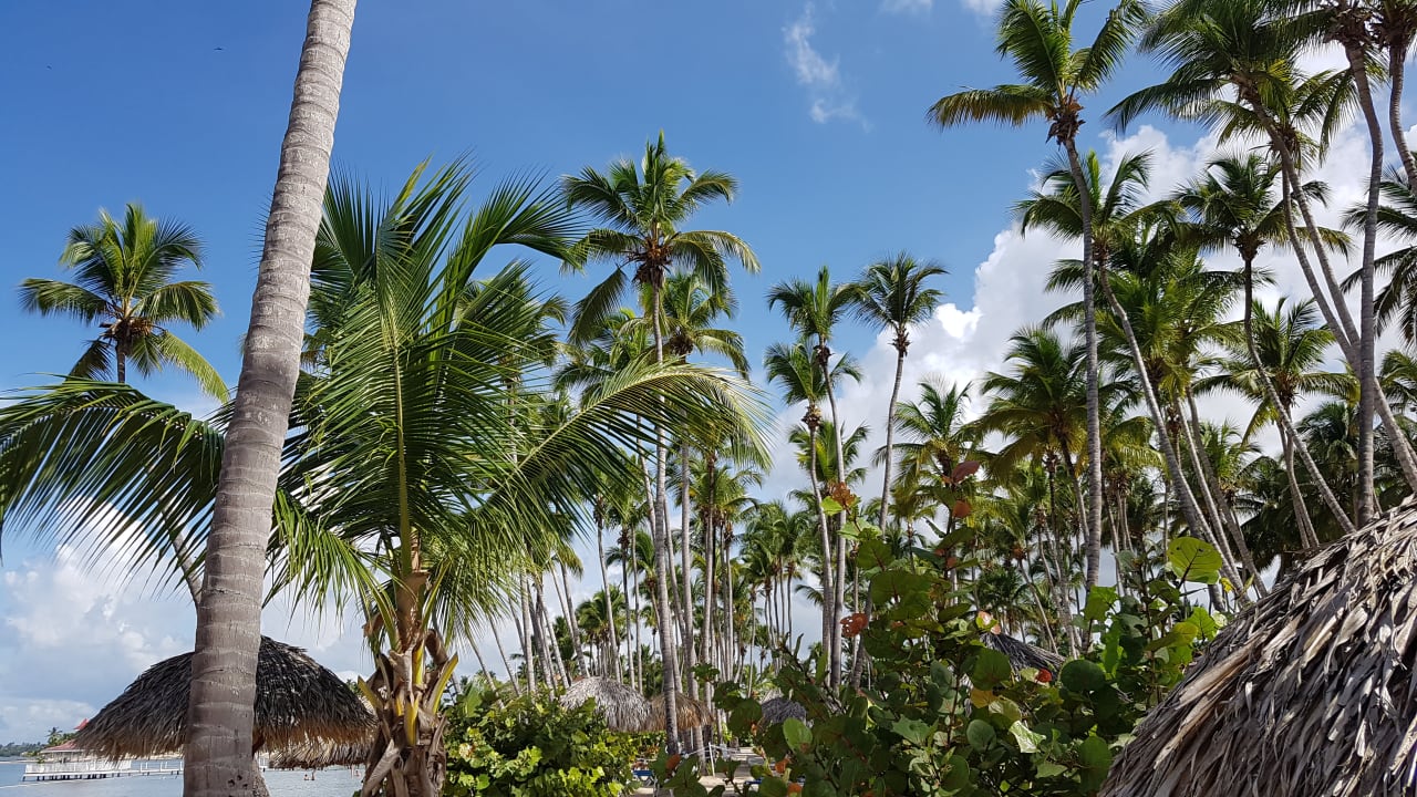 Gartenanlage Bahia Principe Luxury Bouganville