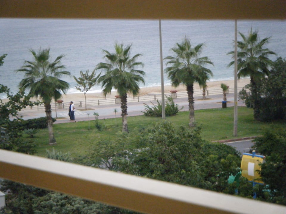 Vanuit onze kamer wuivende palmen! Hotel Kleopatra Alis