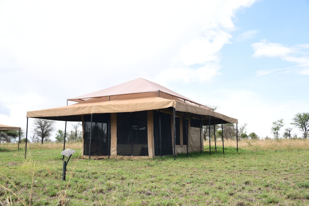 Außenansicht Serengeti Wildebeest Camp