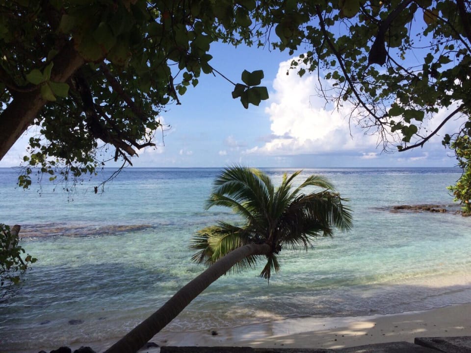 Sonne, Strand und Meer Fihalhohi Maldives
