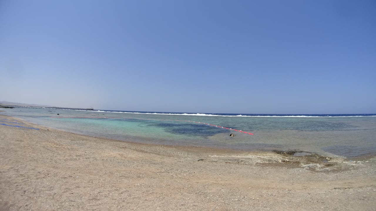 Strand Pickalbatros Sea World Resort - Marsa Alam