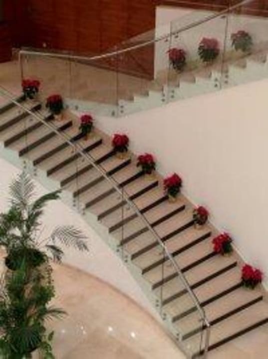 Weihnachtssterne auf der Lobby Treppe Steigenberger Makadi Hotel - Adults only