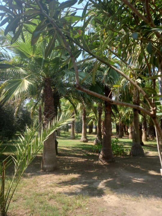 Gartenanlage Seaden Sea World Resort & Spa