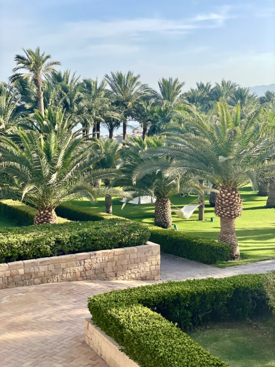 Gartenanlage Fort Arabesque Resort, Spa & Villas