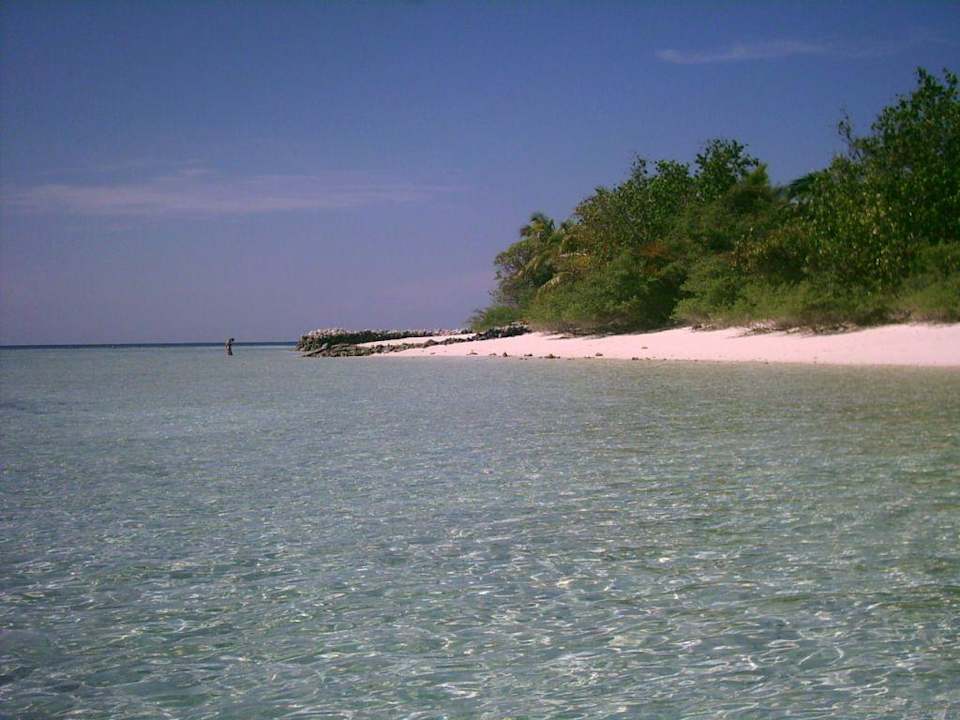 Insel vom Meer aus Eri Maldives