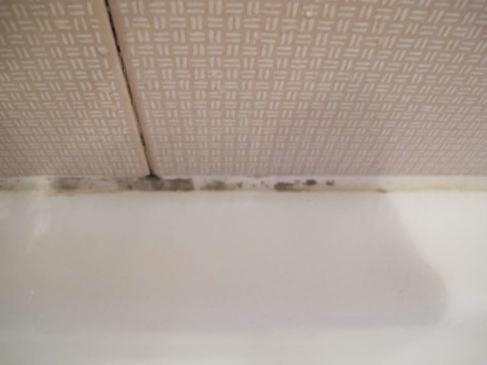 Einzigste Fuge mit etwas Schimmel Hotel Terminus & Garda