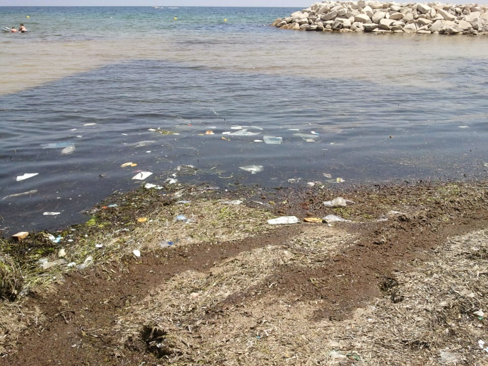 Schmutzigster Strand Marhaba Royal Salem