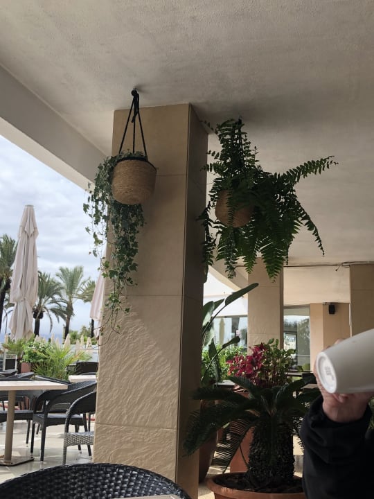 Gastro allsun Hotel Pil-lari Playa