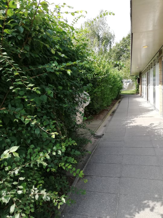Sonstiges Roompot Vakantiepark Hof Domburg