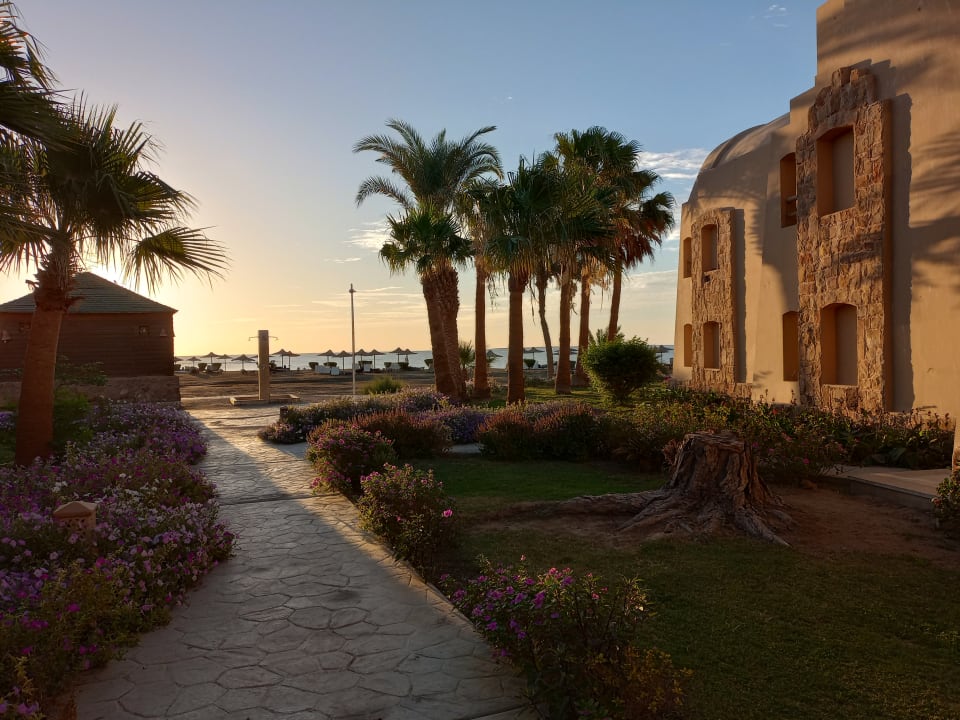 Gartenanlage Shams Alam Beach Resort