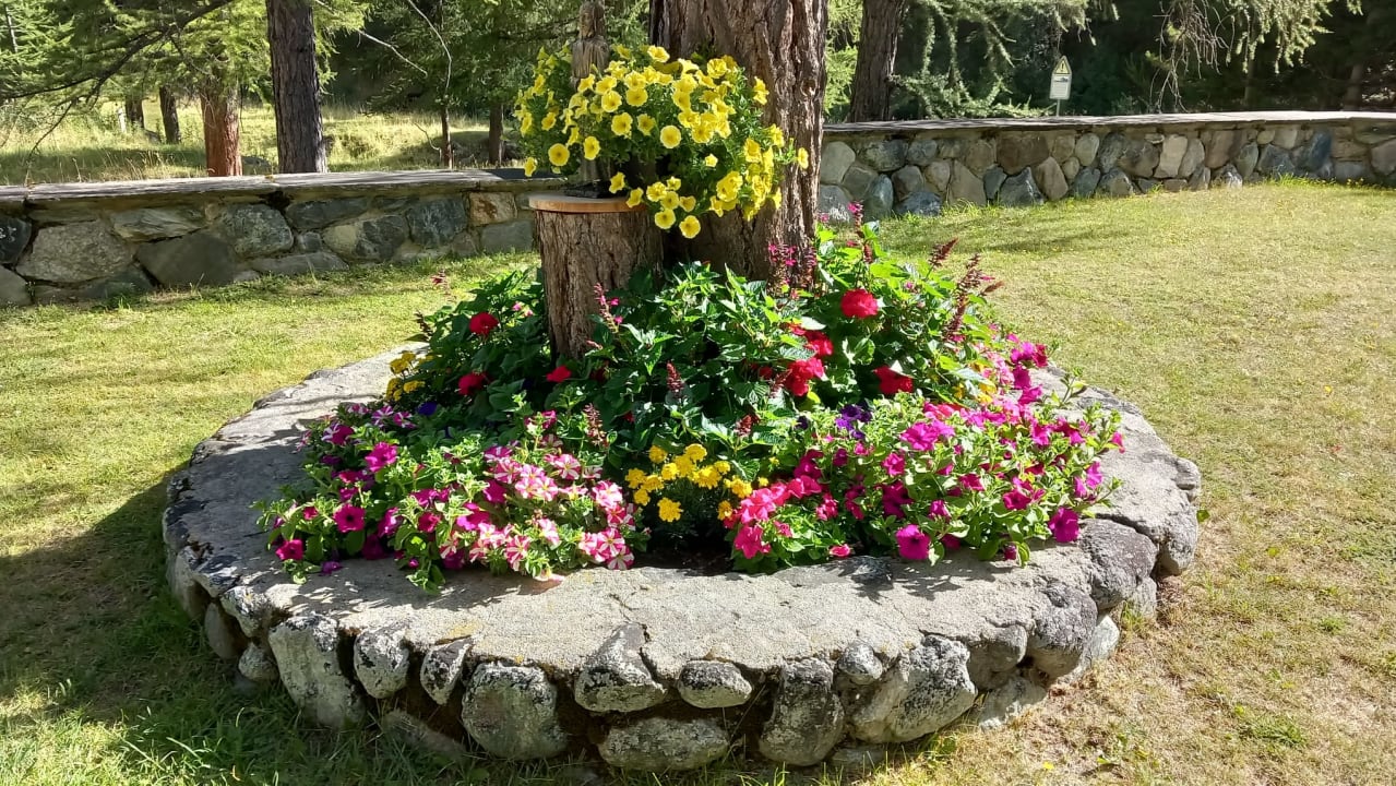 Gartenanlage Pension Heino