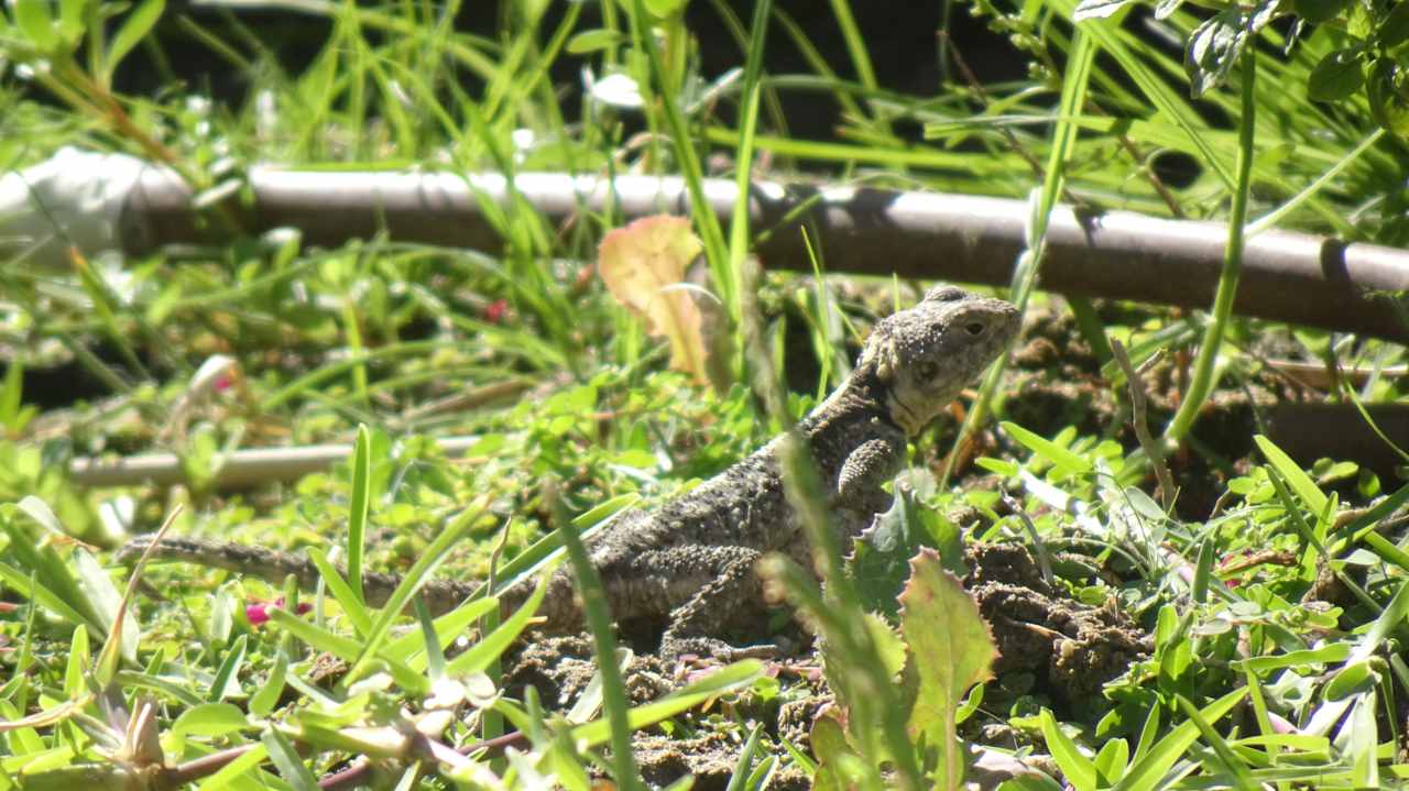 Sonstiges Myrina Beach Hotel