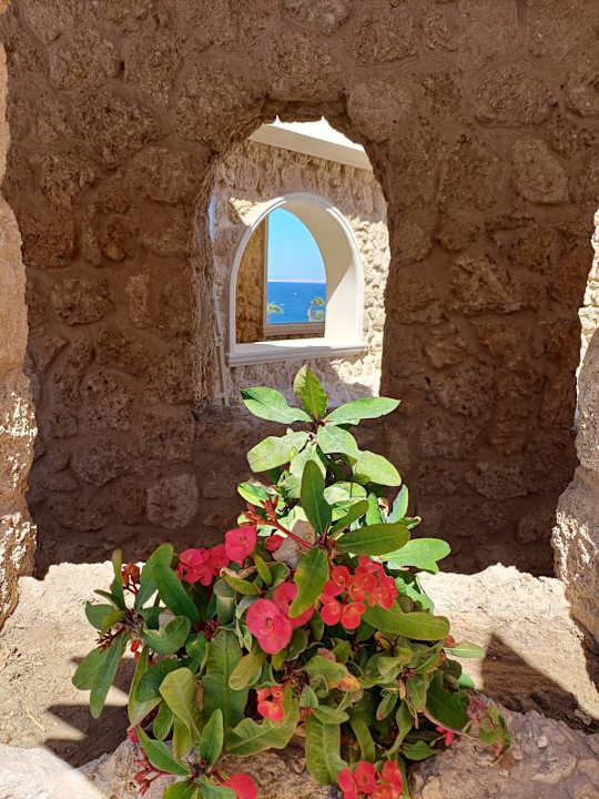 Außenansicht Pickalbatros Citadel Resort