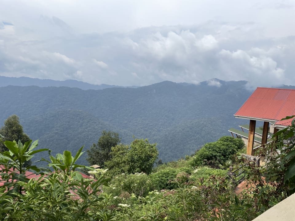Ausblick Nkuringo Bwindi Gorilla Lodge