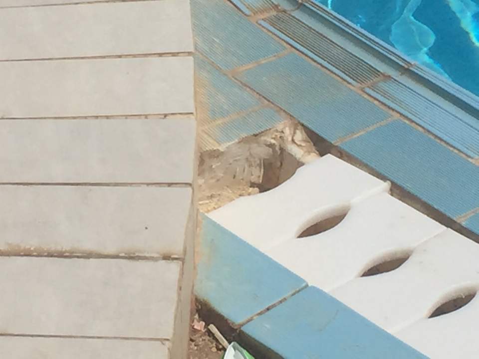 Pool Serenity Alpha Beach