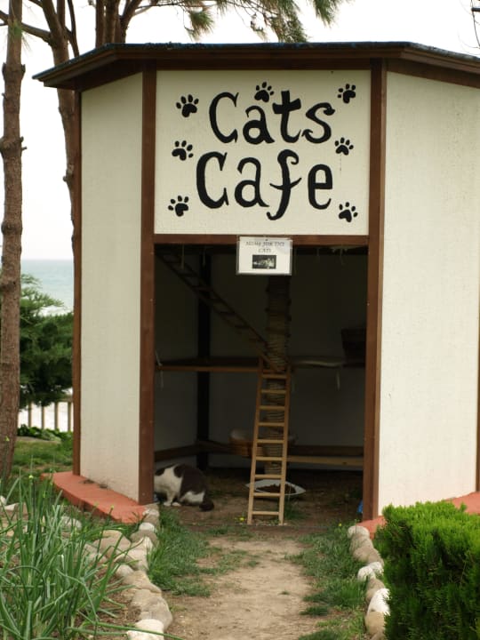 Katzenhaus PALOMA Perissia