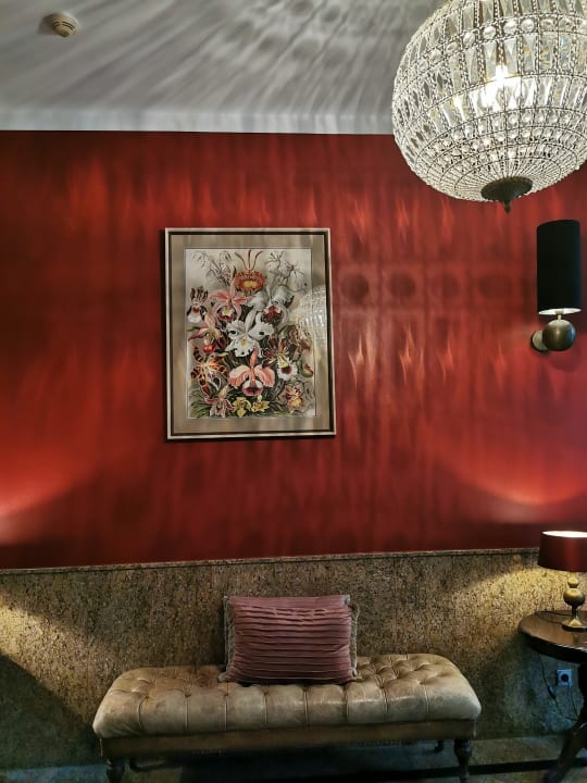 Lobby Domstern Hotel