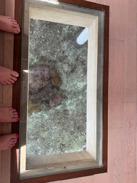 Zimmer OBLU SELECT at Sangeli Island