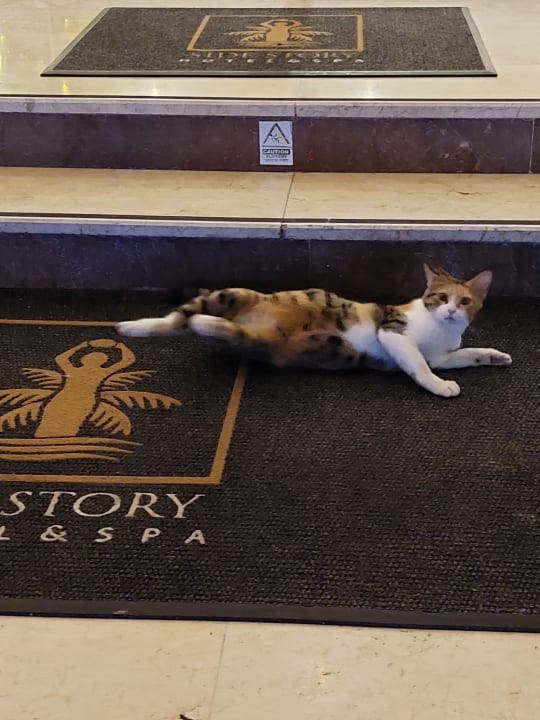 Außenansicht Side Story Resort & Spa