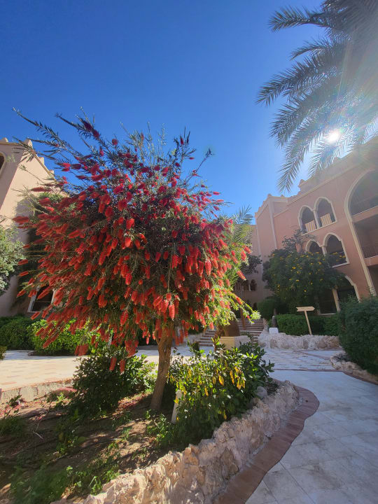 Gartenanlage Makadi Palace