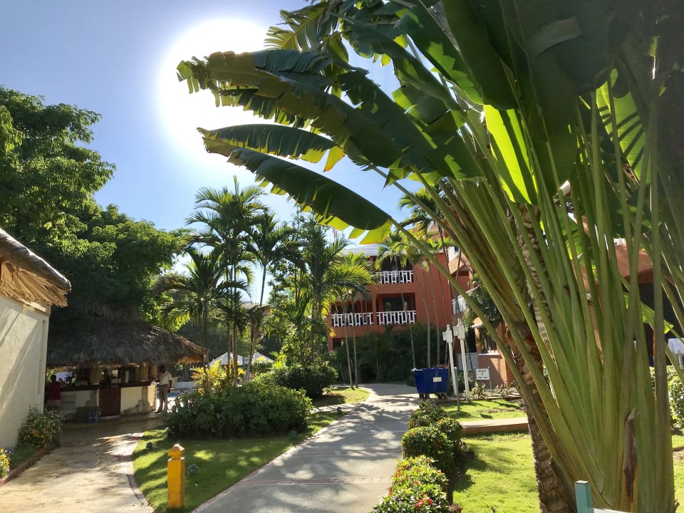 Gartenanlage BelleVue Dominican Bay