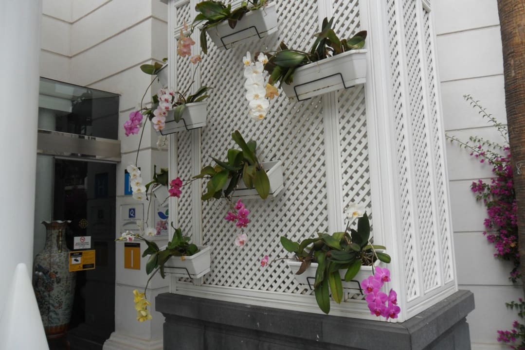 Außenansicht Adrián Hoteles Colón Guanahaní - Adults only