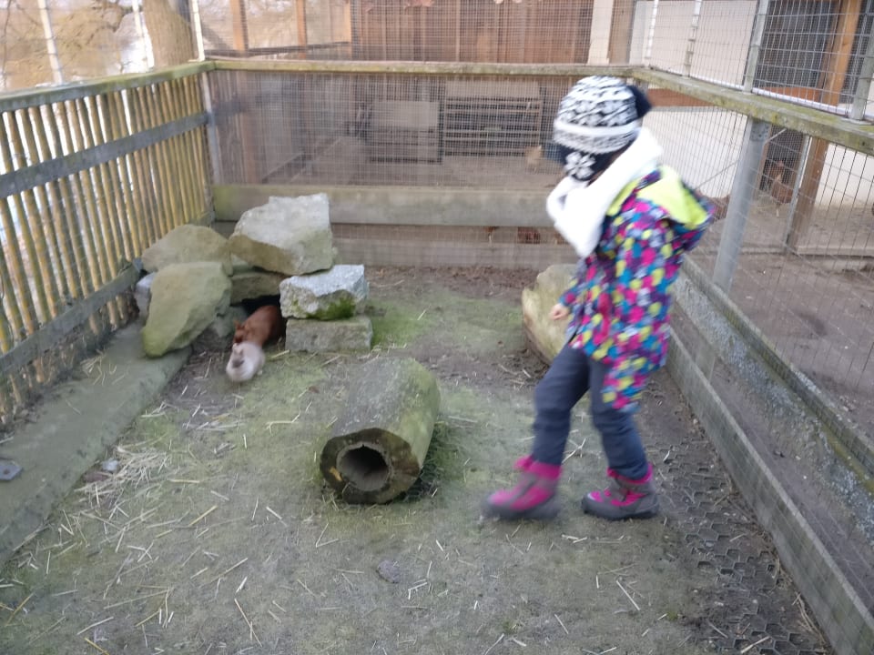 Sonstiges Urlaub am Regen - Ferienhof Dirnberger
