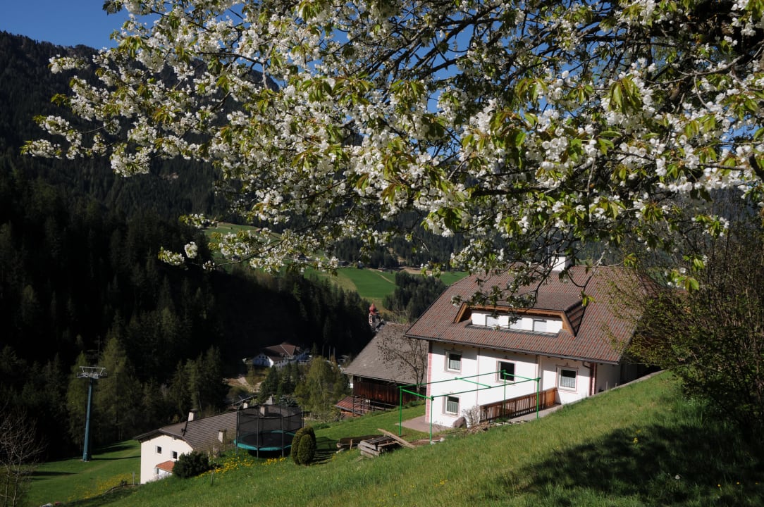 Außenansicht Apartments Dolina