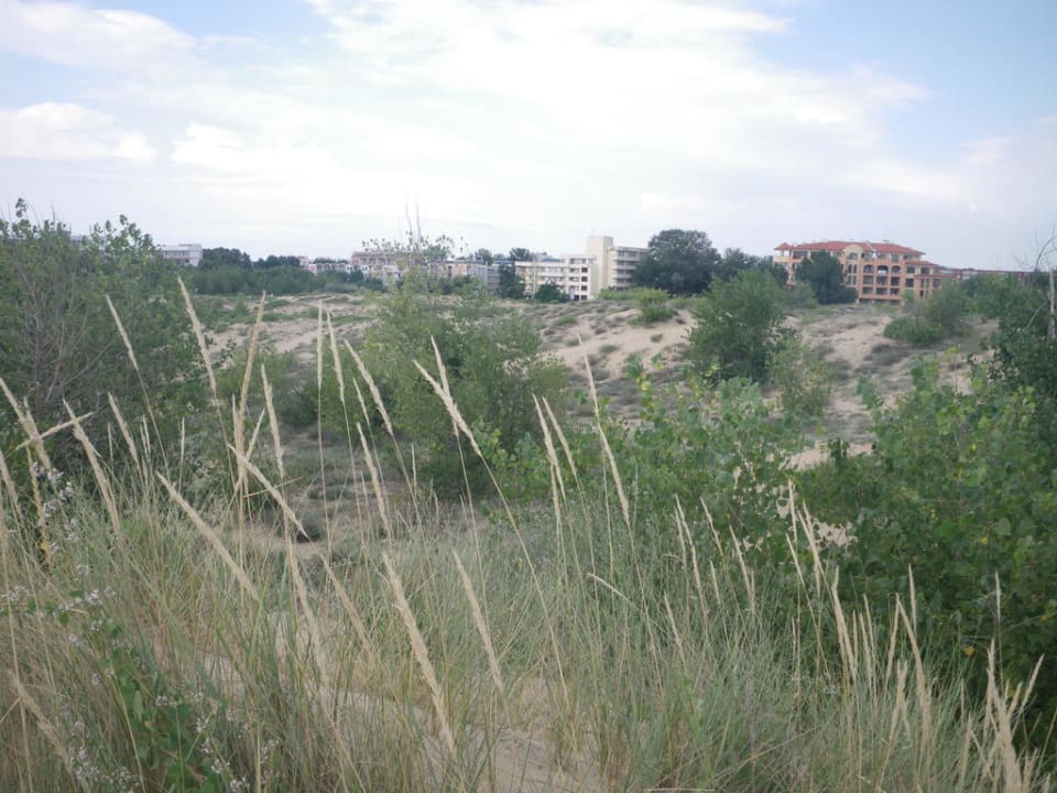Dünen Burgas Beach Hotel