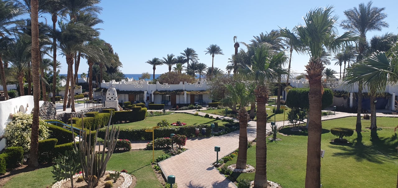 Gartenanlage Shams Safaga Resort