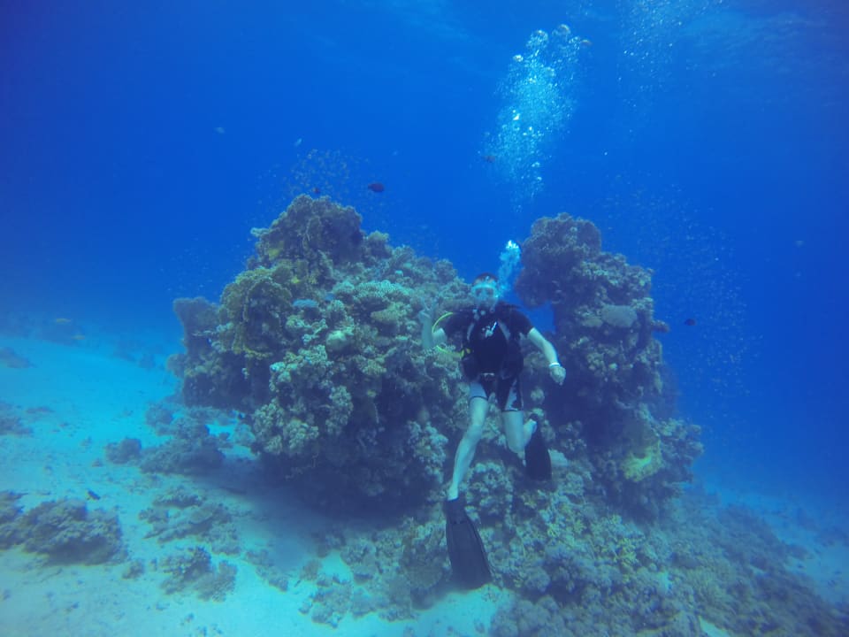 Sport & Freizeit Menaville Safaga