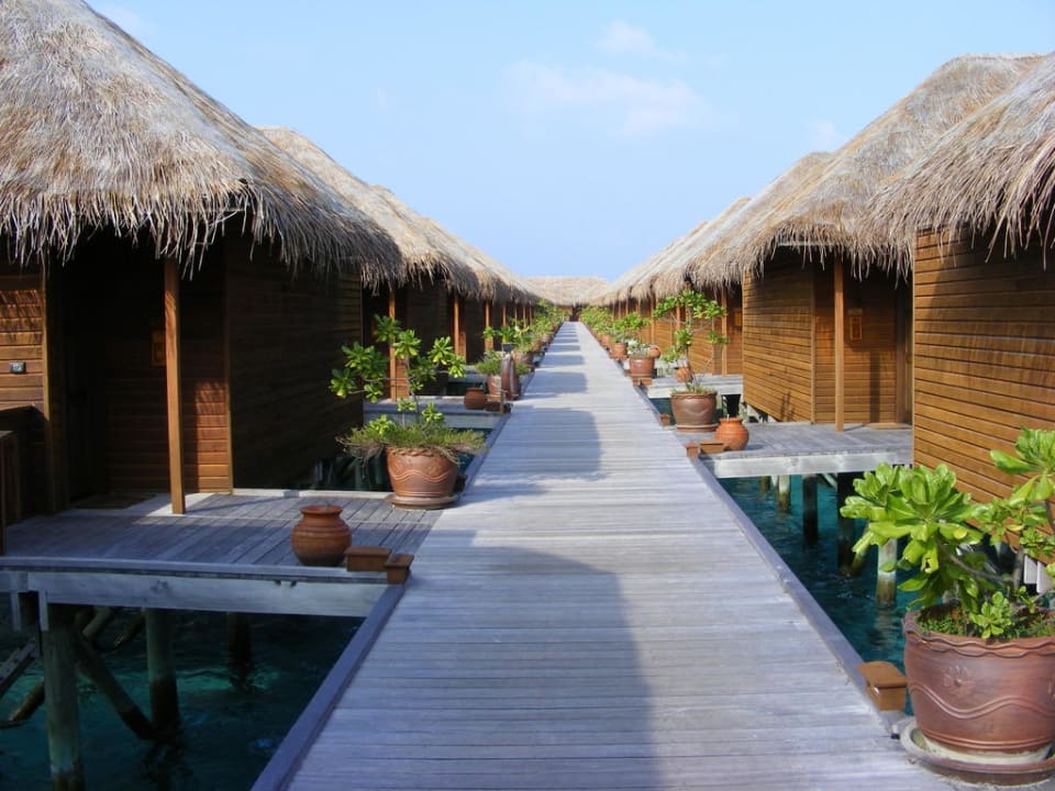 Gang zu den 700 Villen im Norden Meeru Maldives Resort Island