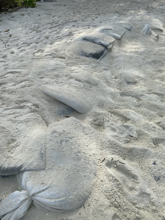 Strand Summer Island Maldives