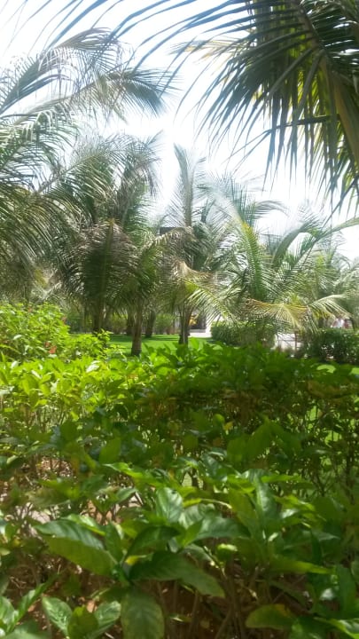 Gartenanlage DoubleTree by Hilton Resort & Spa Marjan Island