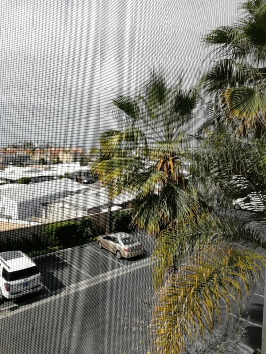 Ausblick Best Western Plus Oceanside Palms