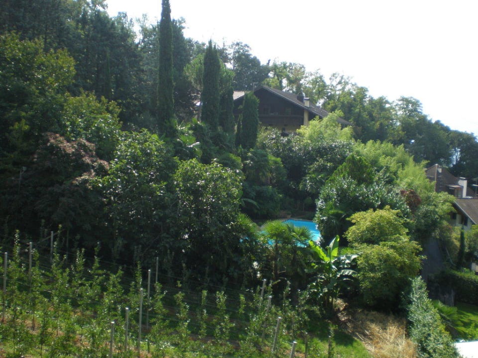 Hotel von hinten Residence Fischerhof