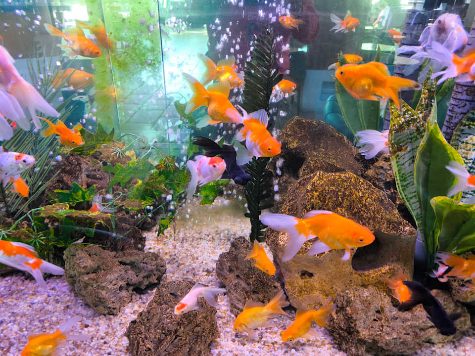 Sonstiges Limak Limra Hotel & Resort