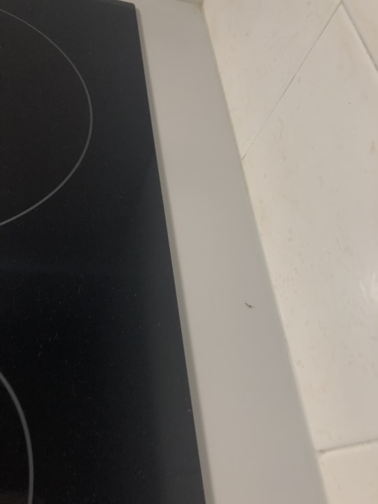 Zimmer Prinsotel La Dorada